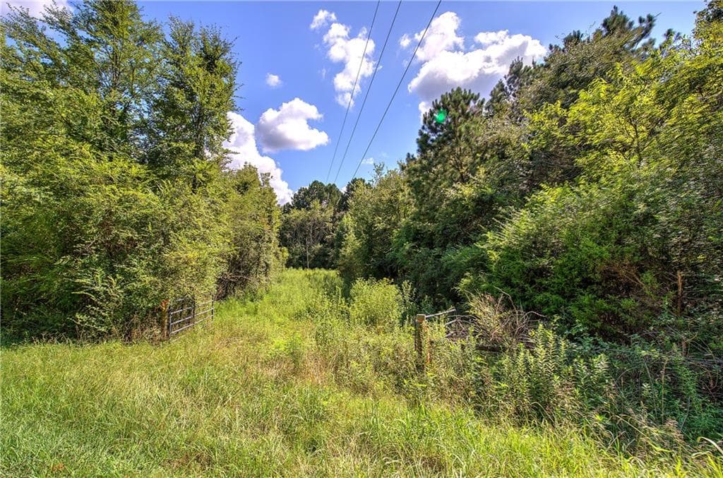unimproved land for sale at 000 Crowe Springs Spur, Adairsville, GA 30103 — photo 2