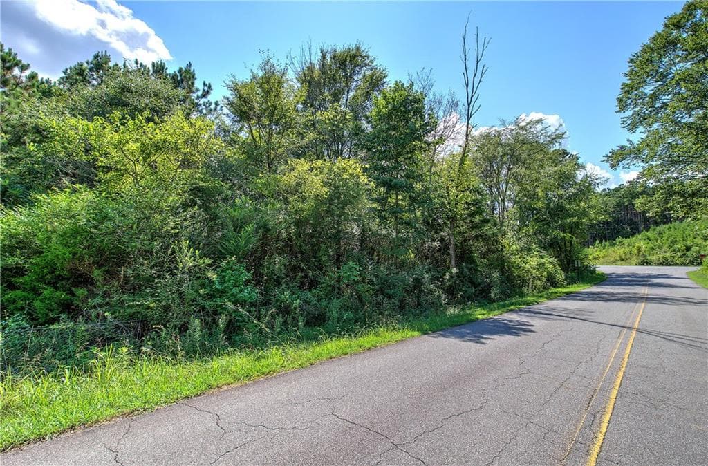 unimproved land for sale at 000 Crowe Springs Spur, Adairsville, GA 30103 — photo 3