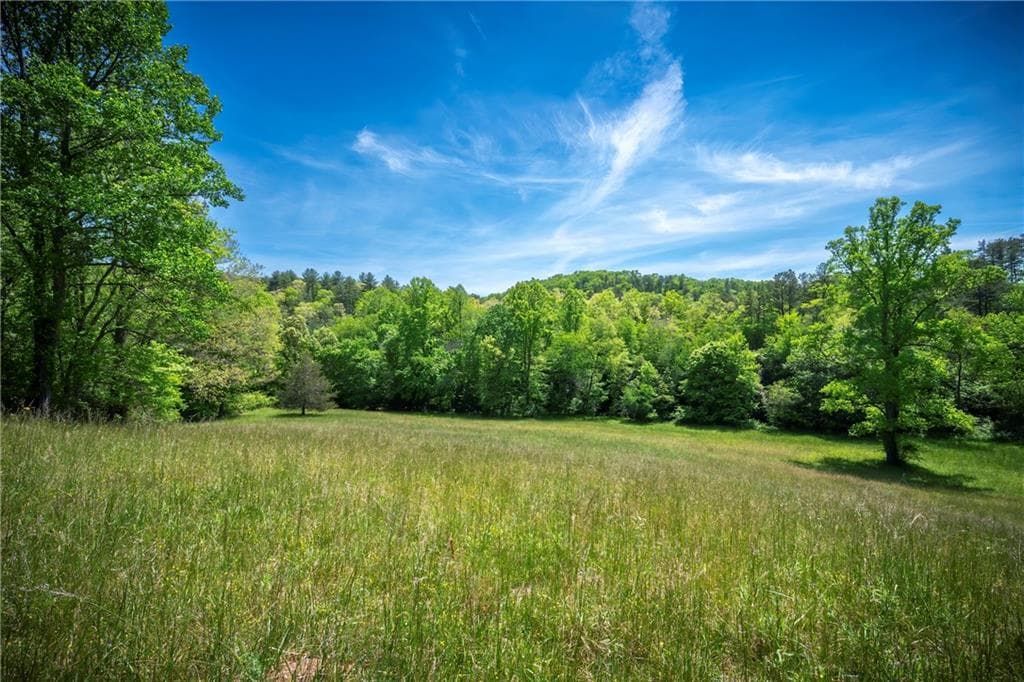 single family residence under contract at LT2-2a Waterstone Way, Mineral Bluff, GA 30559 — photo 4
