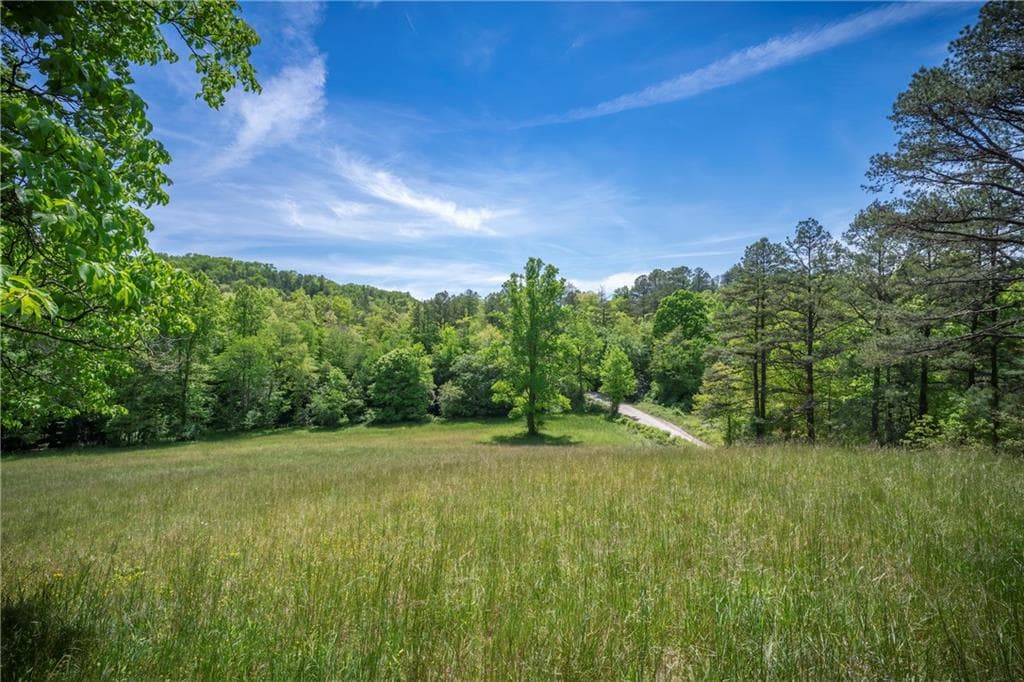 single family residence under contract at LT2-2a Waterstone Way, Mineral Bluff, GA 30559 — photo 6
