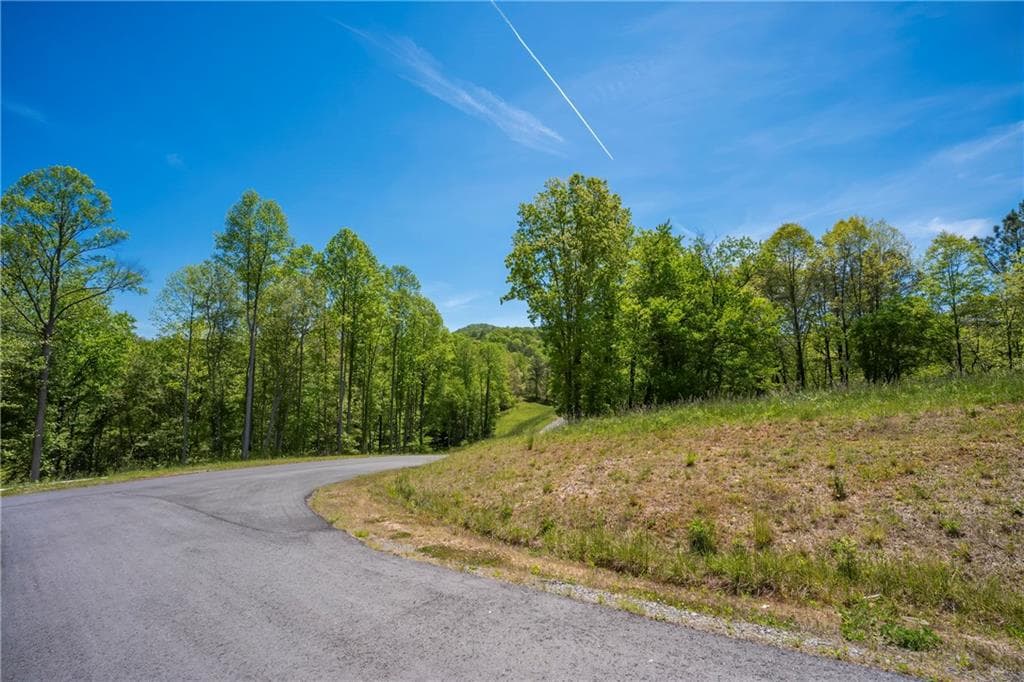 single family residence for sale at LT4-4a Waterstone Way, Mineral Bluff, GA 30559 — photo 3