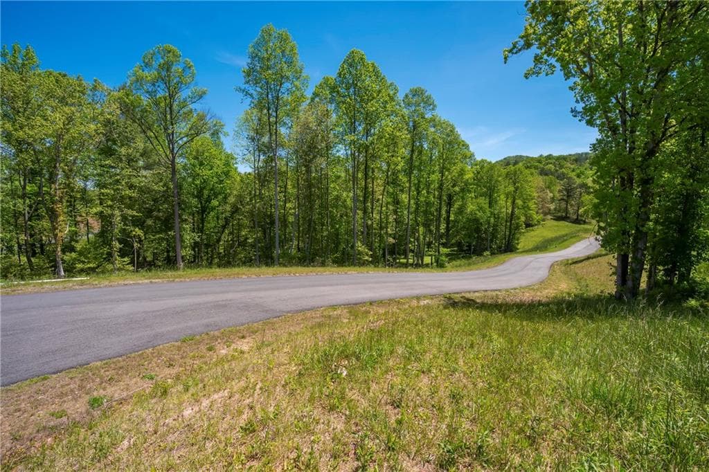 single family residence for sale at LT4-4a Waterstone Way, Mineral Bluff, GA 30559 — photo 4