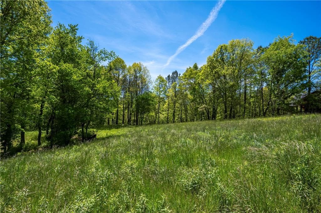 single family residence for sale at LT4-4a Waterstone Way, Mineral Bluff, GA 30559 — photo 6