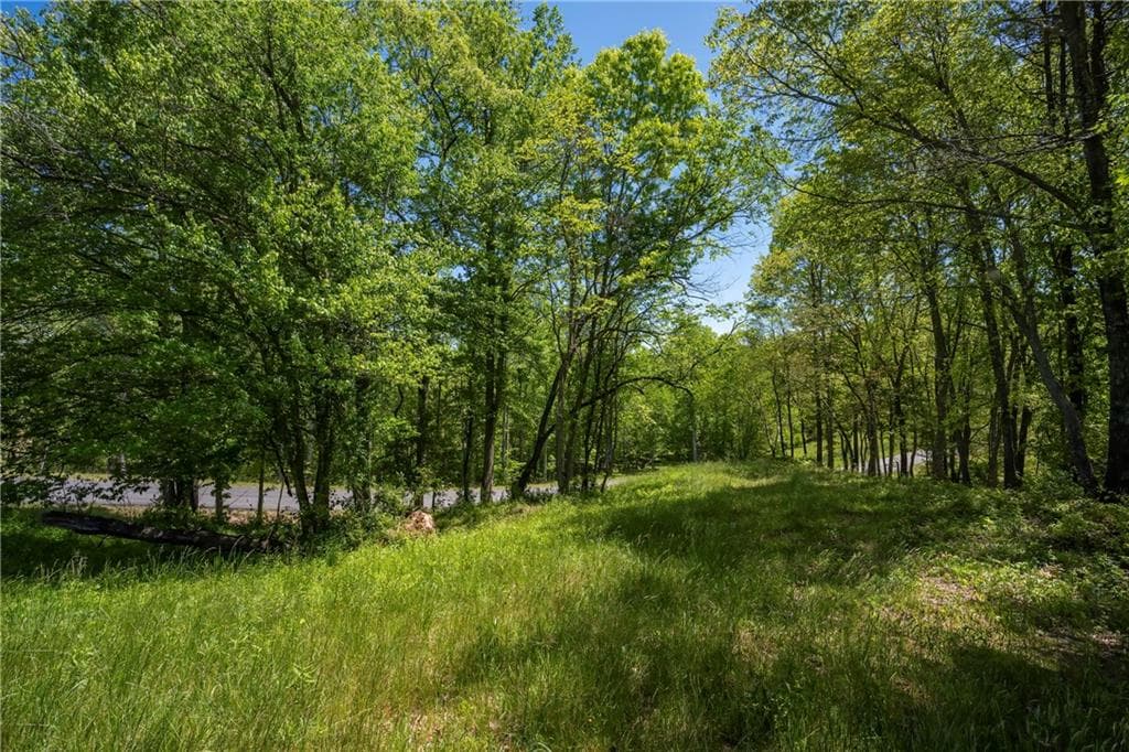 single family residence for sale at LT4-4a Waterstone Way, Mineral Bluff, GA 30559 — photo 8