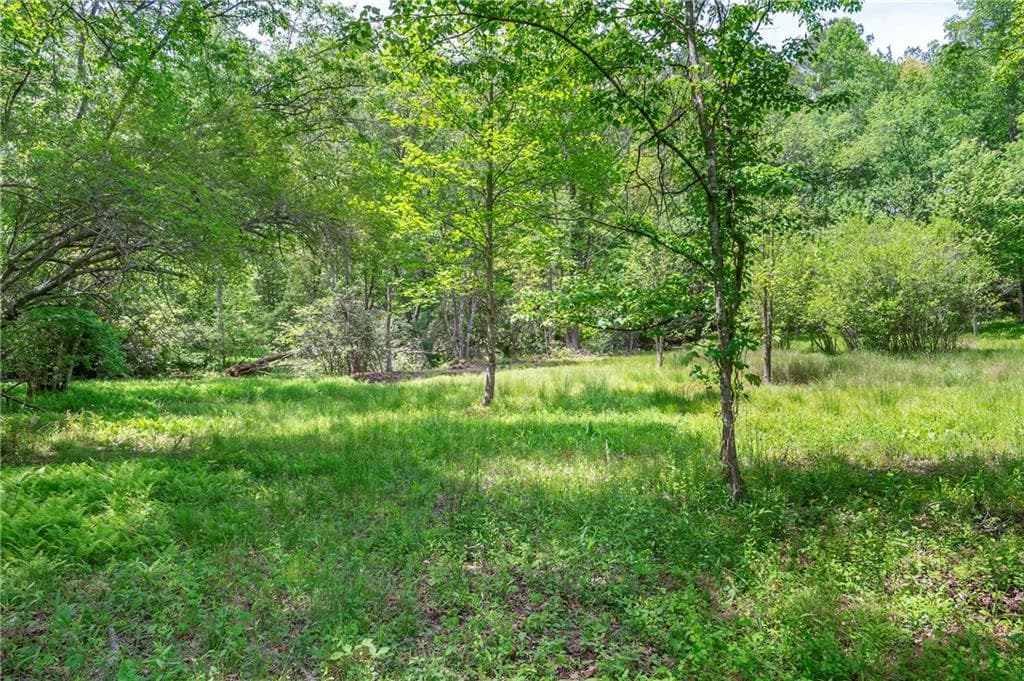 single family residence for sale at LT5-5a Waterstone Way, Mineral Bluff, GA 30559 — photo 3