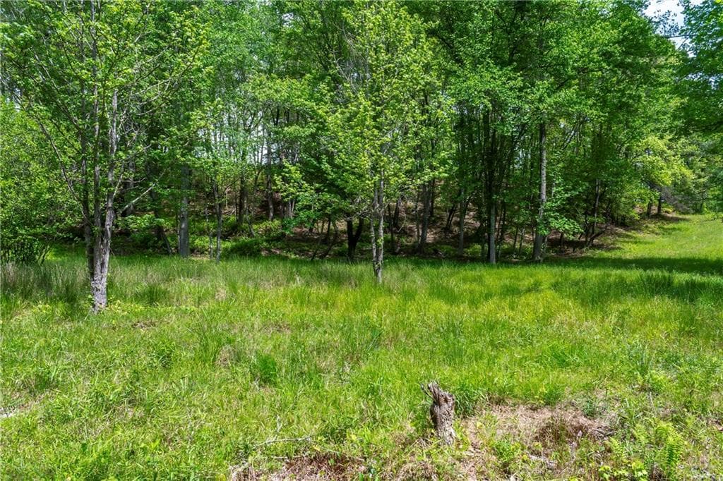 single family residence for sale at LT5-5a Waterstone Way, Mineral Bluff, GA 30559 — photo 5