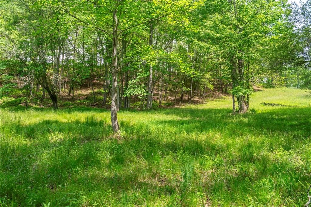 single family residence for sale at LT5-5a Waterstone Way, Mineral Bluff, GA 30559 — photo 6
