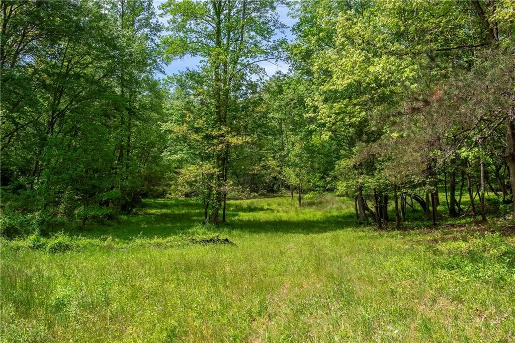 single family residence for sale at LT5-5a Waterstone Way, Mineral Bluff, GA 30559 — photo 10