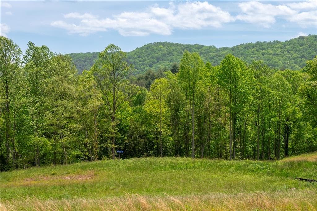 single family residence for sale at LOT 15 Waterstone Way, Mineral Bluff, GA 30559 — photo 3