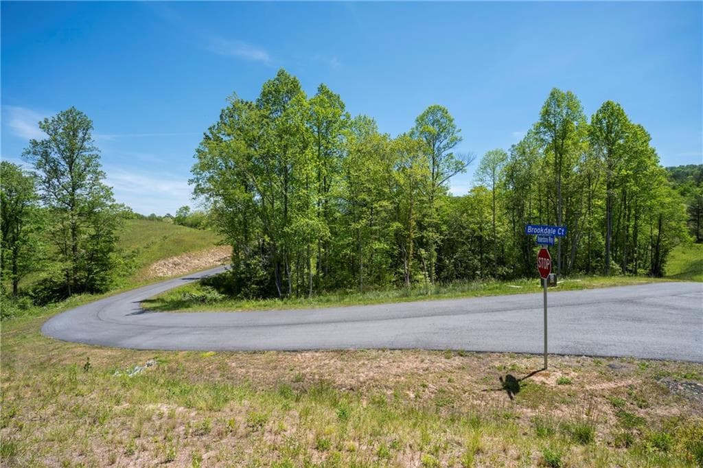 single family residence for sale at LOT 15 Waterstone Way, Mineral Bluff, GA 30559 — photo 4