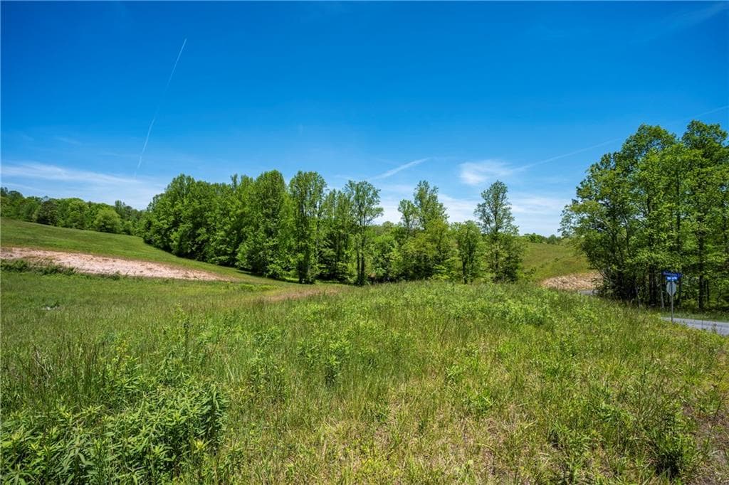 single family residence for sale at LOT 15 Waterstone Way, Mineral Bluff, GA 30559 — photo 5