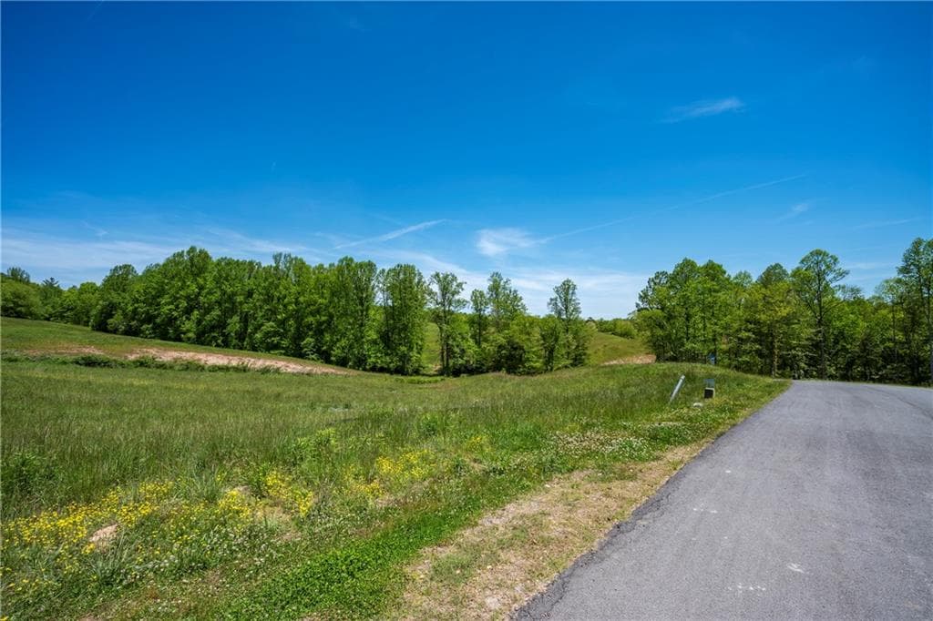 single family residence for sale at LOT 15 Waterstone Way, Mineral Bluff, GA 30559 — photo 8