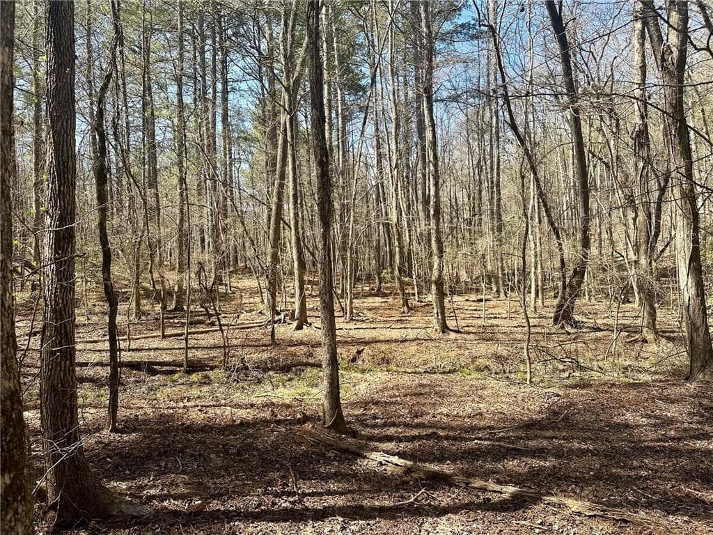 single family residence for sale at 555 Larmon Forks Road, Dahlonega, GA 30533 — photo 2