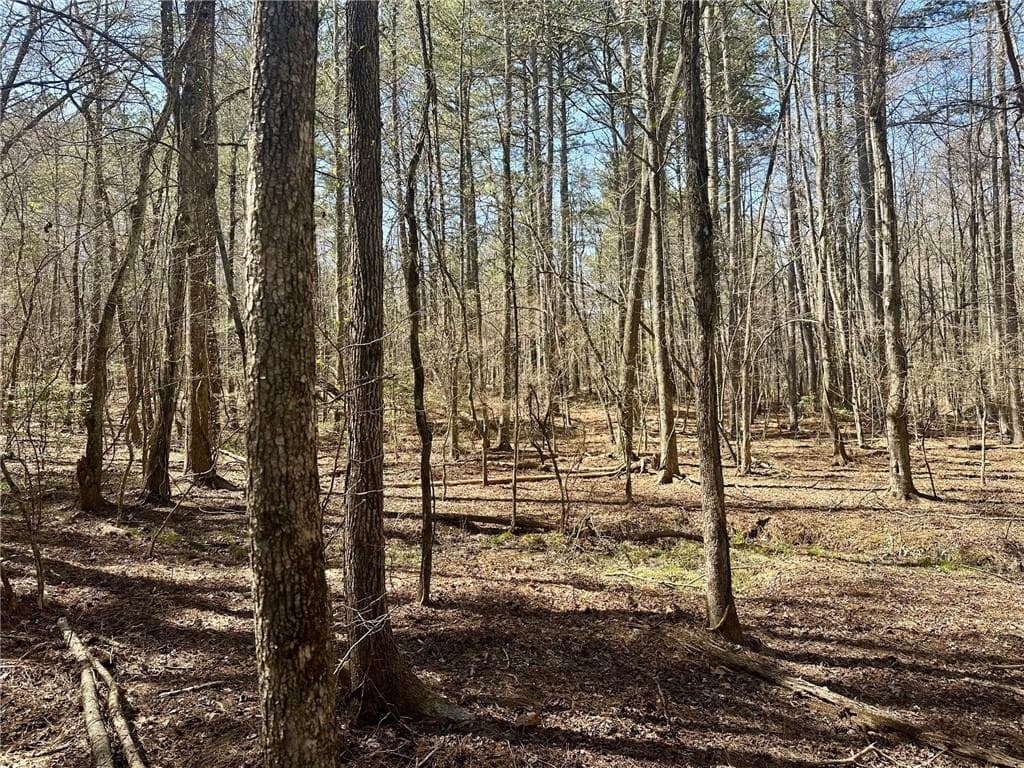 single family residence for sale at 555 Larmon Forks Road, Dahlonega, GA 30533 — photo 3