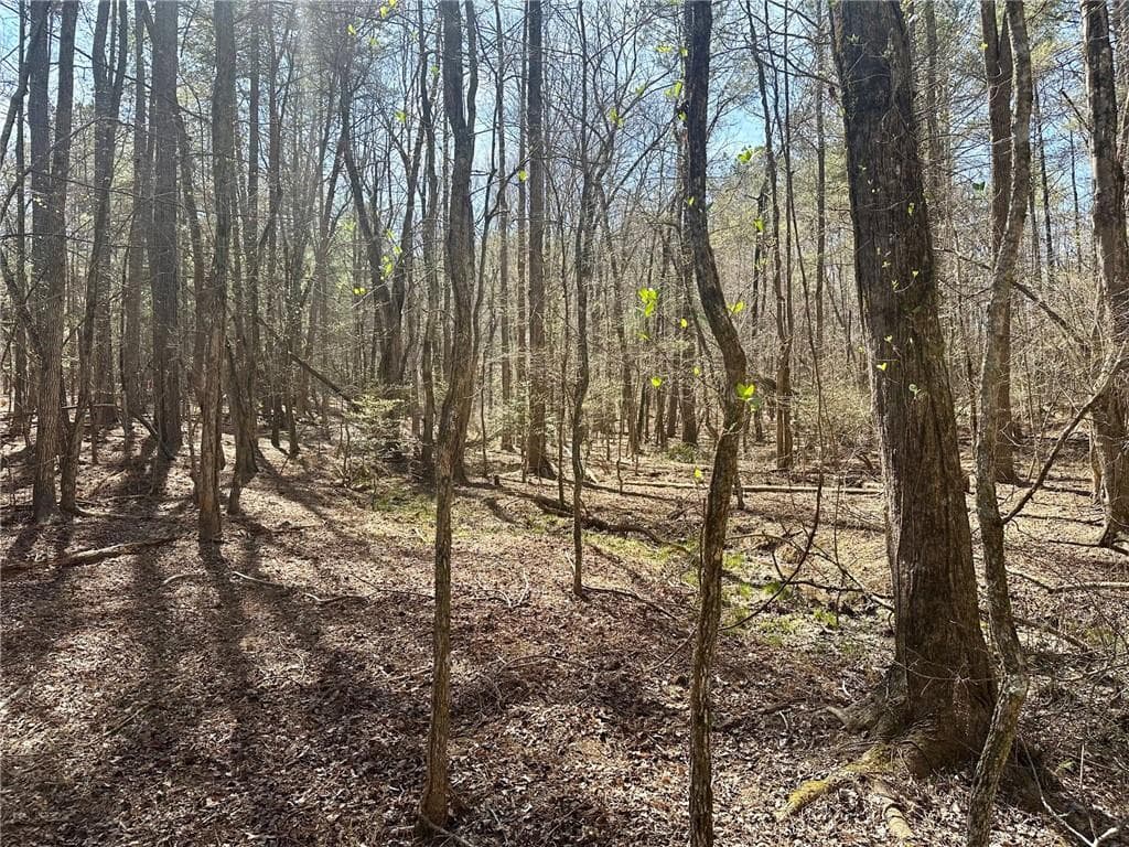 single family residence for sale at 555 Larmon Forks Road, Dahlonega, GA 30533 — photo 4