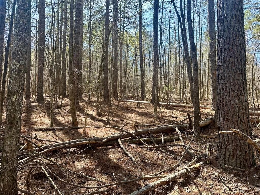 single family residence for sale at 555 Larmon Forks Road, Dahlonega, GA 30533 — photo 5