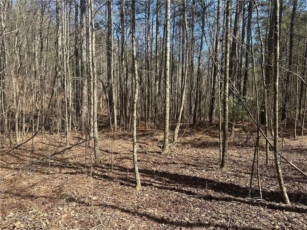 single family residence for sale at 555 Larmon Forks Road, Dahlonega, GA 30533 — photo 6