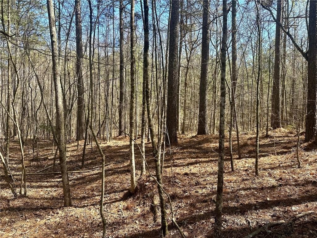 single family residence for sale at 555 Larmon Forks Road, Dahlonega, GA 30533 — photo 8