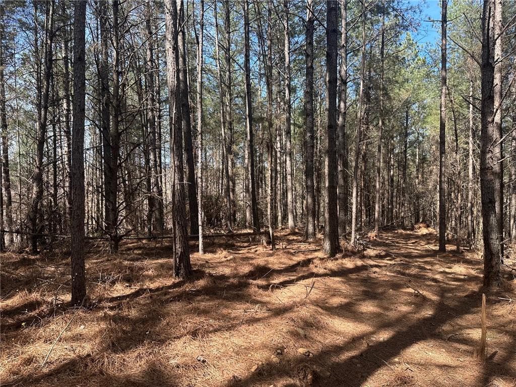 single family residence for sale at 555 Larmon Forks Road, Dahlonega, GA 30533 — photo 9