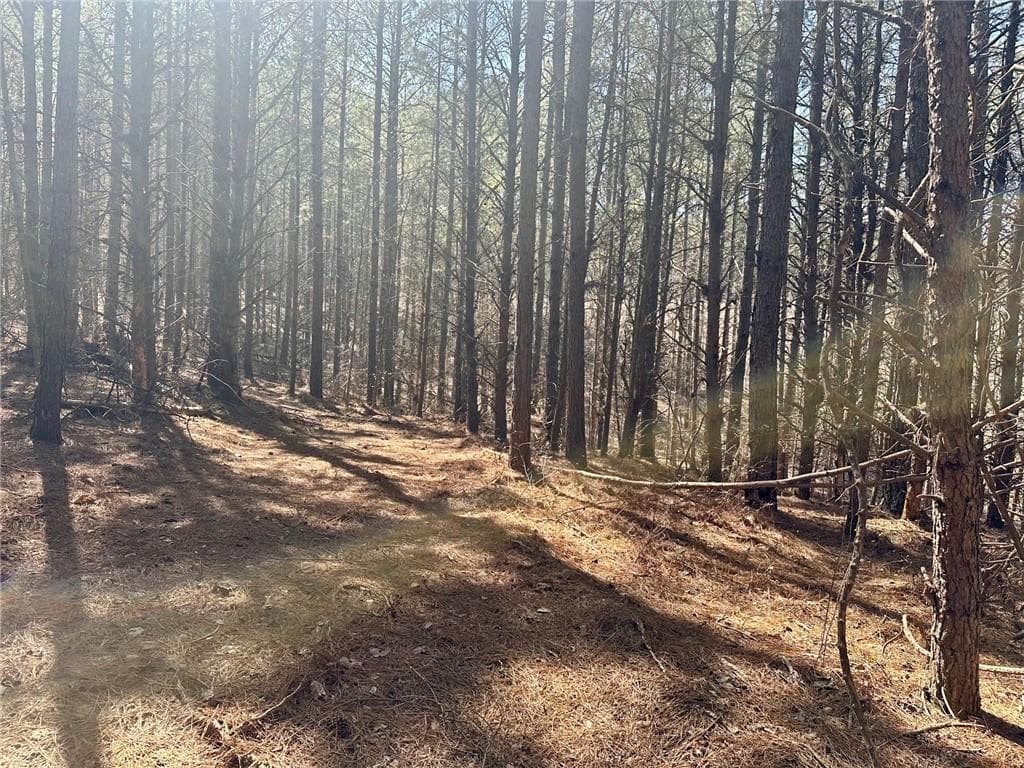 single family residence for sale at 555 Larmon Forks Road, Dahlonega, GA 30533 — photo 10