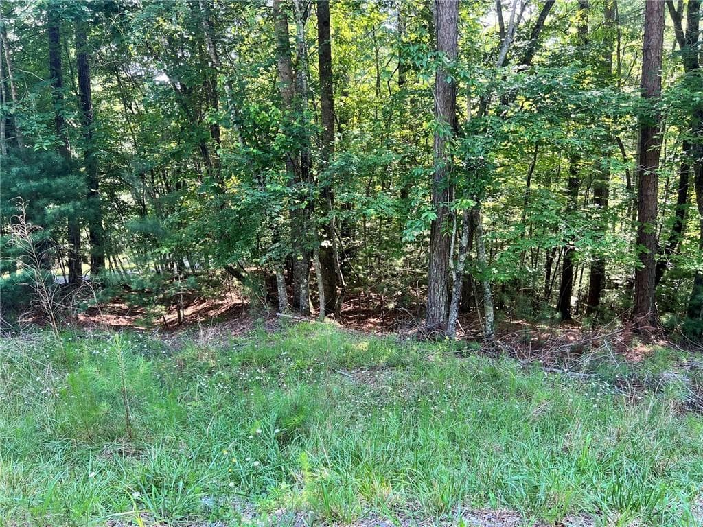 unimproved land for sale at 00 Alpine 3625 Drive, Ellijay, GA 30540 — photo 1 of 6