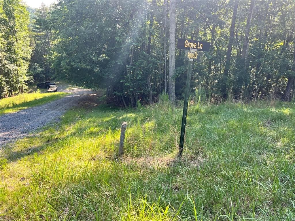 unimproved land for sale at 00 Alpine 3625 Drive, Ellijay, GA 30540 — photo 2