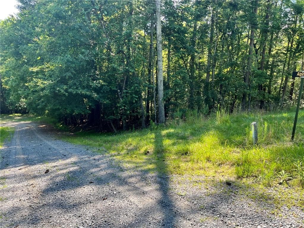 unimproved land for sale at 00 Alpine 3625 Drive, Ellijay, GA 30540 — photo 3