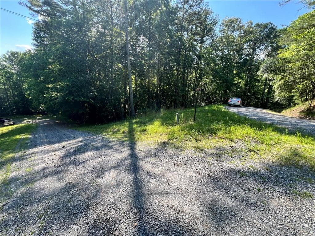 unimproved land for sale at 00 Alpine 3625 Drive, Ellijay, GA 30540 — photo 4