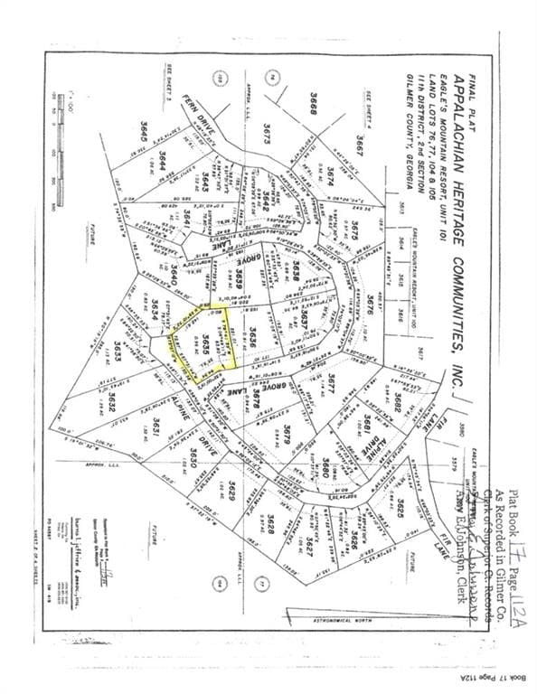 unimproved land for sale at 00 Alpine 3625 Drive, Ellijay, GA 30540 — photo 5