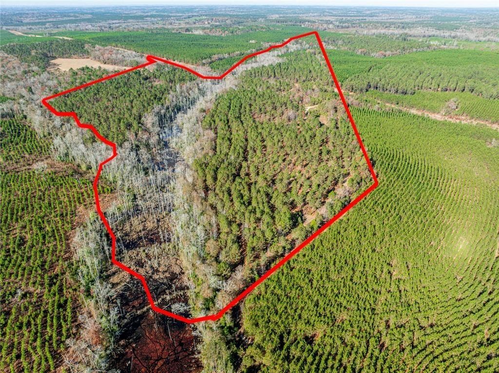 unimproved land for sale at 0 N Indian Trail Road, Sandersville, GA 31082 — photo 1 of 26