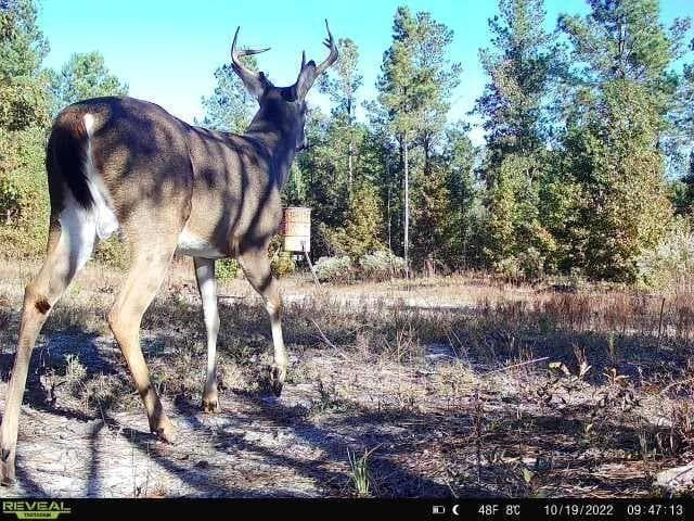 unimproved land for sale at 0 N Indian Trail Road, Sandersville, GA 31082 — photo 5