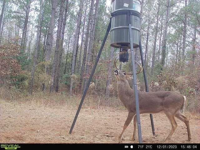 unimproved land for sale at 0 N Indian Trail Road, Sandersville, GA 31082 — photo 7