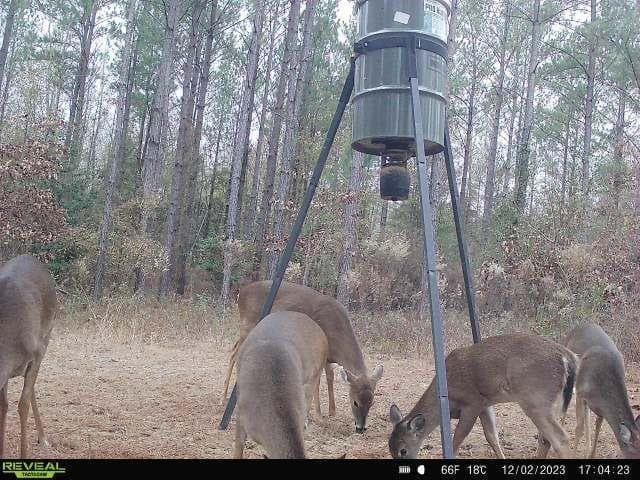 unimproved land for sale at 0 N Indian Trail Road, Sandersville, GA 31082 — photo 8