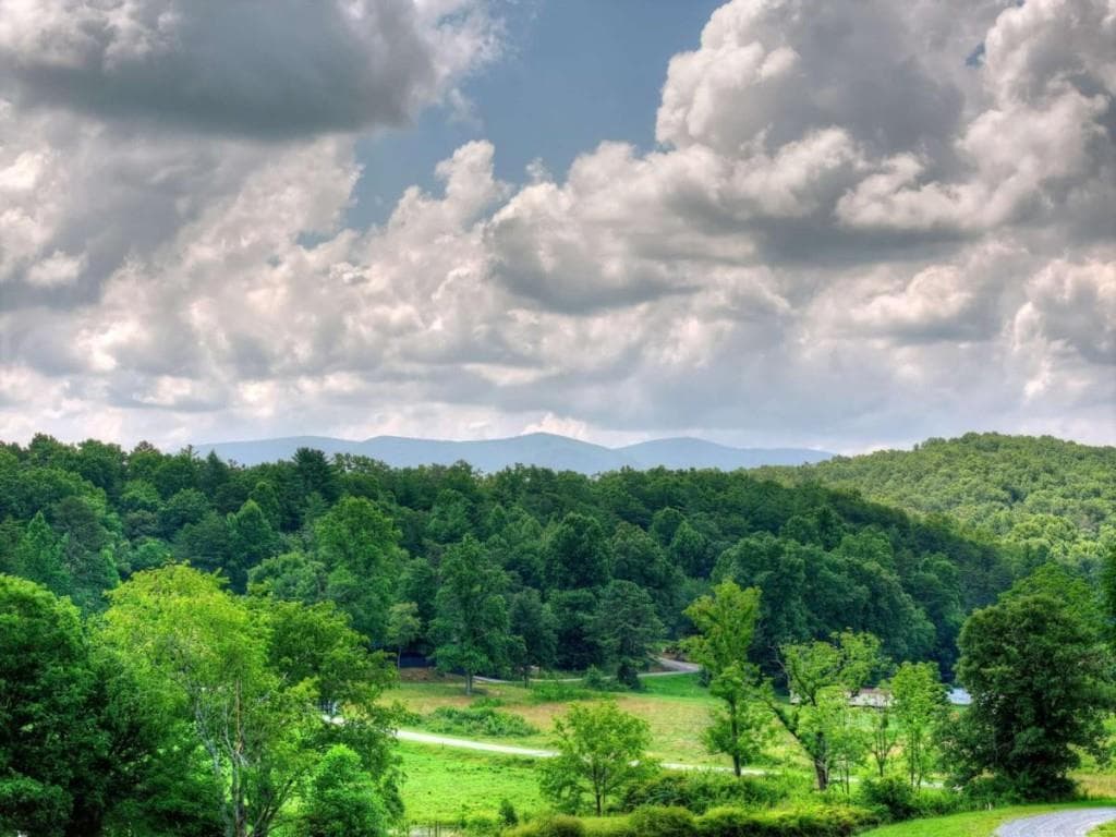 3 bedroom, 4 bathroom, 2,516 sq ft single family residence for sale at 246 Bearden Farm Overlook, Blue Ridge, GA 30513 — photo 5