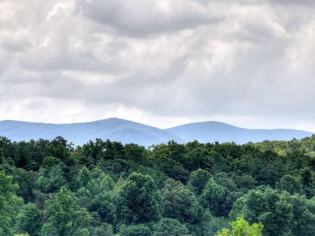3 bedroom, 4 bathroom, 2,516 sq ft single family residence for sale at 246 Bearden Farm Overlook, Blue Ridge, GA 30513 — photo 6