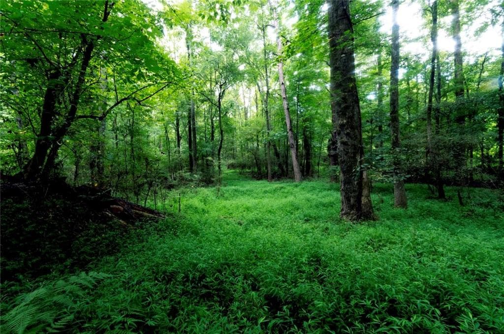 unimproved land for sale at 4669 Huntsman Bend, Decatur, GA 30034 — photo 7