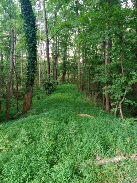 unimproved land for sale at 4669 Huntsman Bend, Decatur, GA 30034 — photo 8