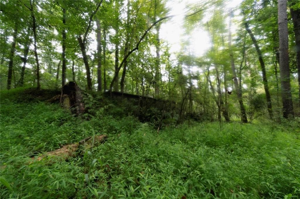 unimproved land for sale at 4669 Huntsman Bend, Decatur, GA 30034 — photo 10