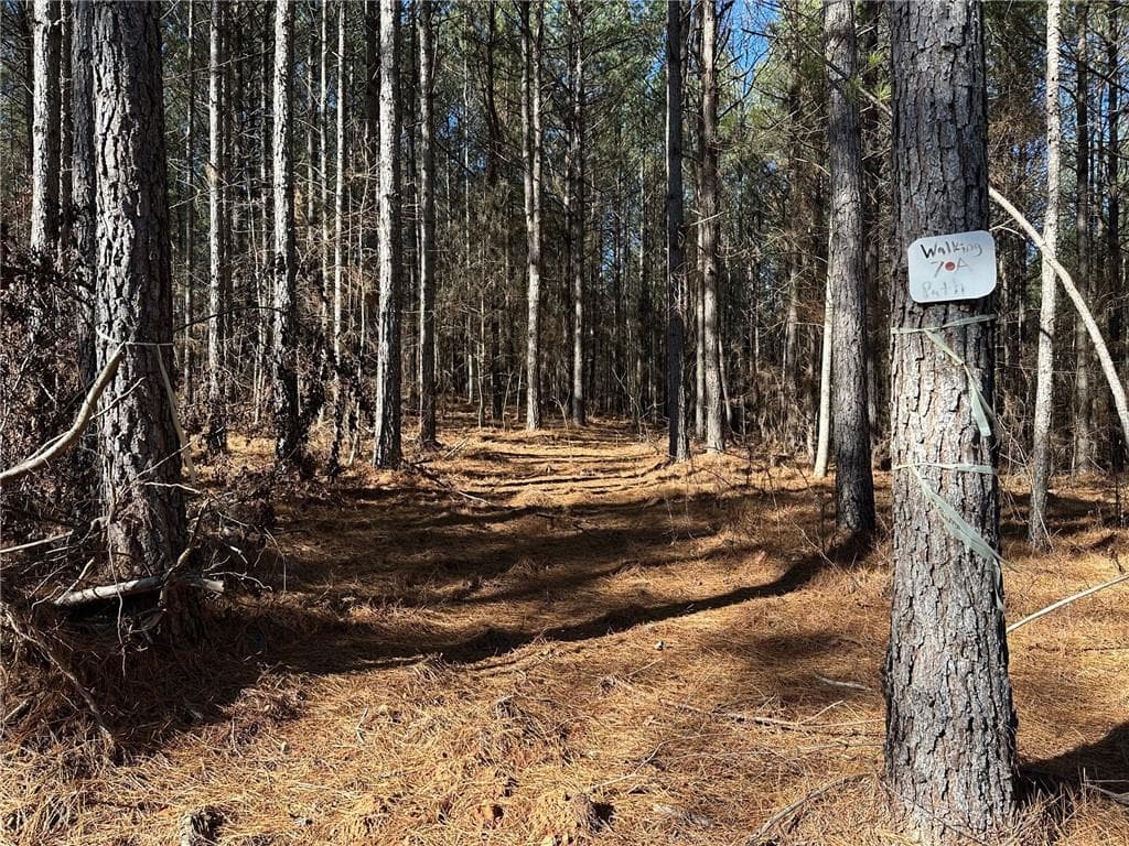 single family residence for sale at 1107 Larmon Forks Road, Dahlonega, GA 30533 — photo 4