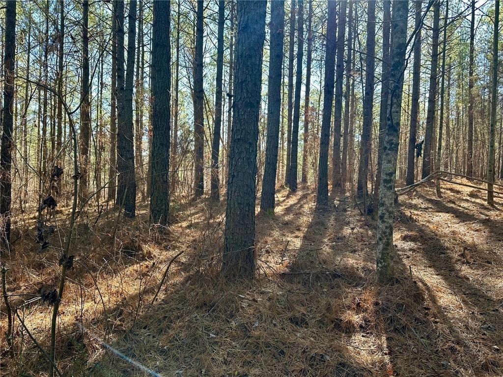 single family residence for sale at 1107 Larmon Forks Road, Dahlonega, GA 30533 — photo 6