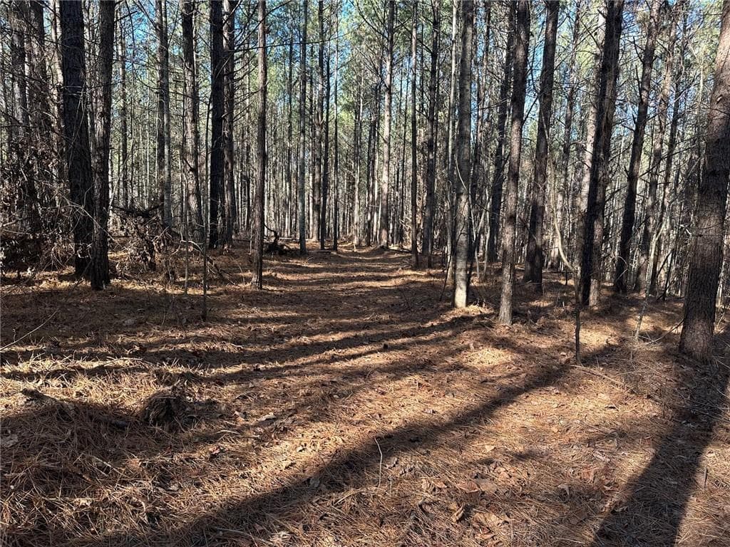 single family residence for sale at 1107 Larmon Forks Road, Dahlonega, GA 30533 — photo 8
