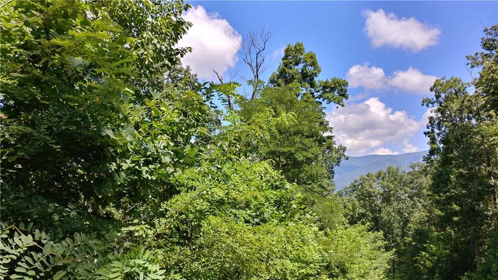 other for sale at 0 Goldmine Drive, Ellijay, GA 30536