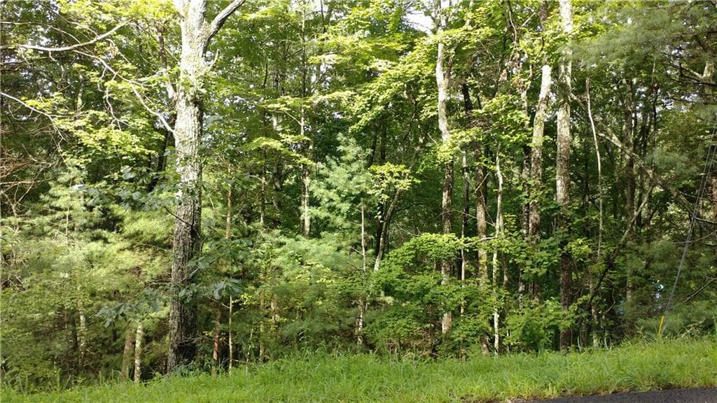 other for sale at 0 Goldmine Drive, Ellijay, GA 30536 — photo 2