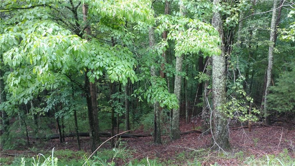 other for sale at 0 Goldmine Drive, Ellijay, GA 30536 — photo 3
