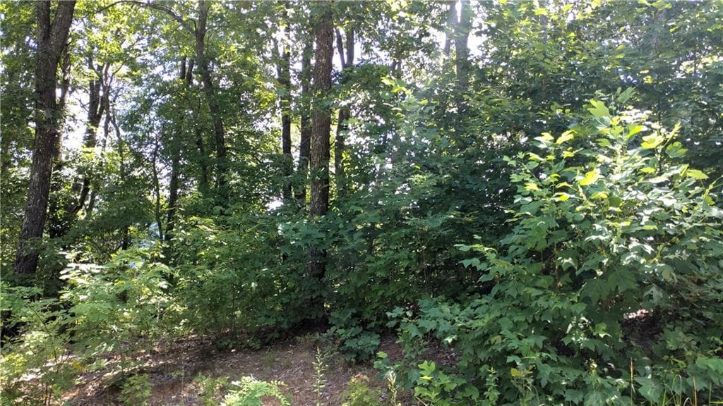 other for sale at 0 Goldmine Drive, Ellijay, GA 30536 — photo 4