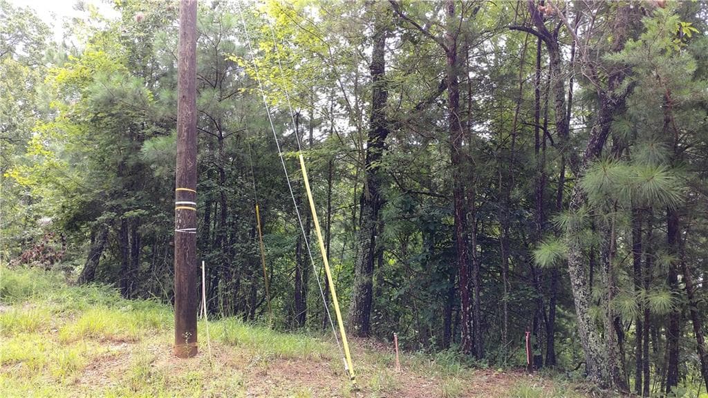 other for sale at 0 Goldmine Drive, Ellijay, GA 30536 — photo 5