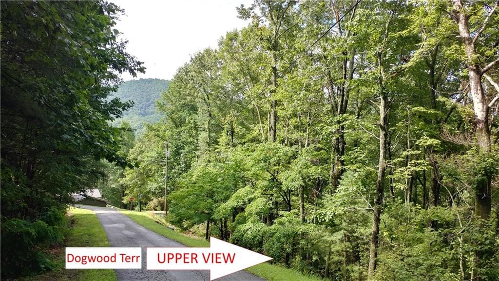 other for sale at 0 Goldmine Drive, Ellijay, GA 30536 — photo 6