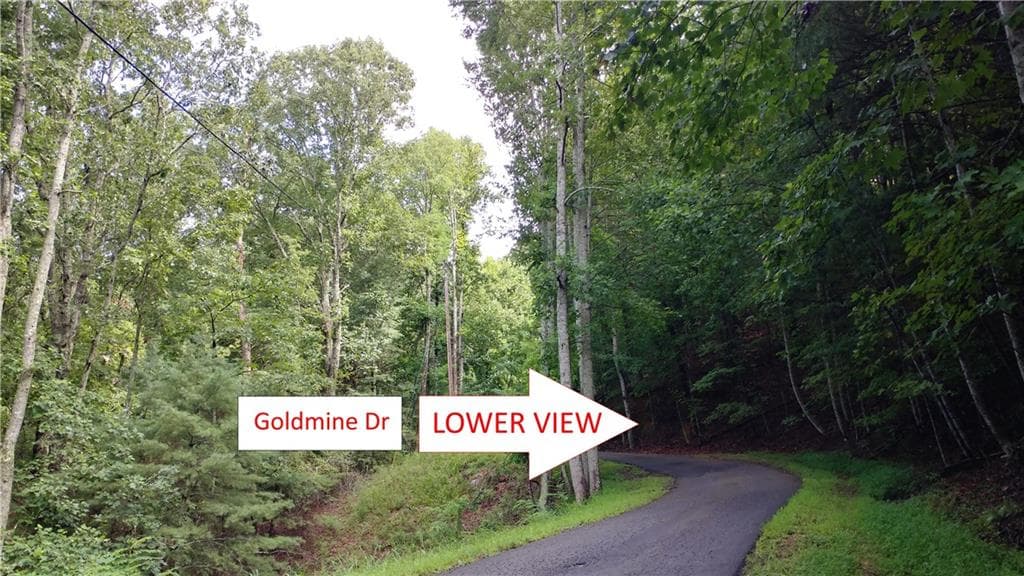 other for sale at 0 Goldmine Drive, Ellijay, GA 30536 — photo 7