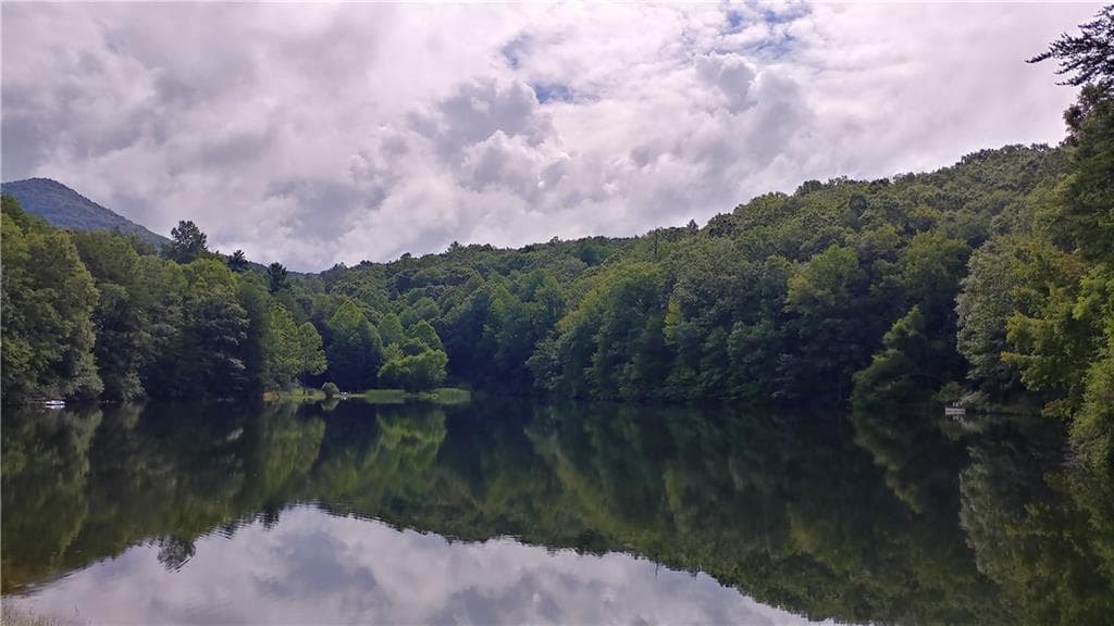 other for sale at 0 Goldmine Drive, Ellijay, GA 30536 — photo 8