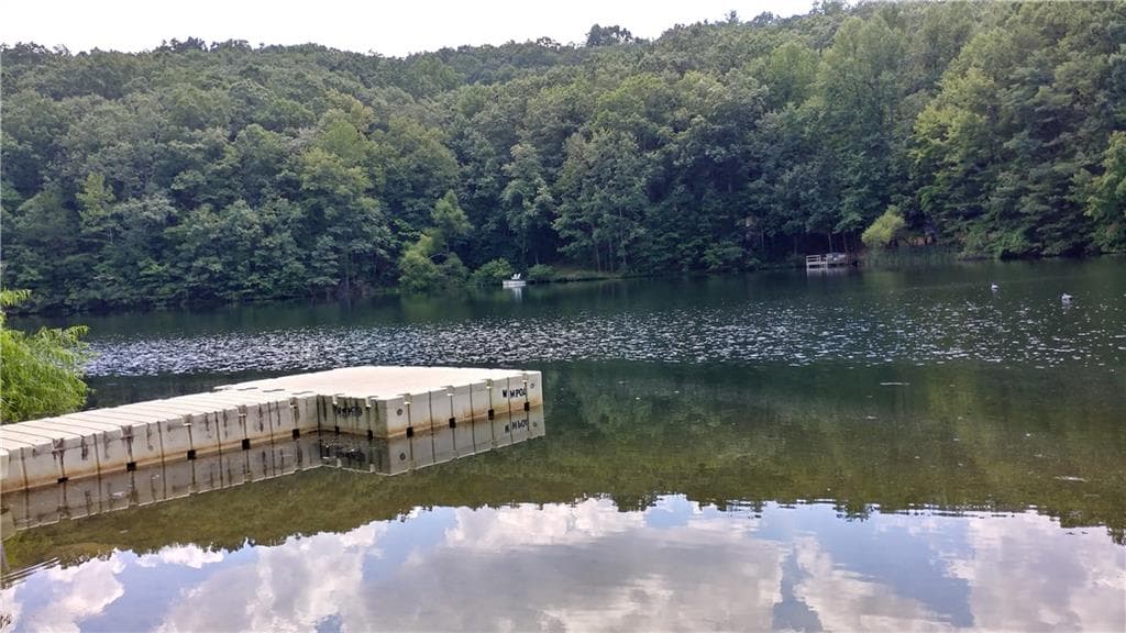 other for sale at 0 Goldmine Drive, Ellijay, GA 30536 — photo 9